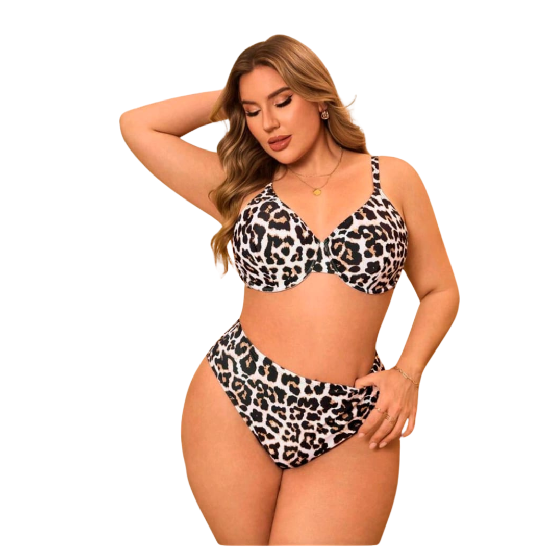 2 Piece Leopard Print Bikini